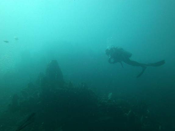 Explorando ass paredes submersas ao sul de Roseau, em Parque Nacional submarino em Dominica, no Caribe